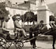 Typical Sorrento's horse carriage