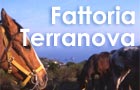 Fattoria Terranova